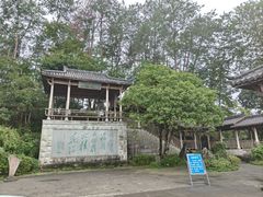 -千岛湖东南湖区