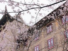 -武汉大学-樱园