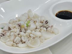 墨鱼仔-小耕园