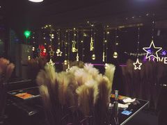-枫花园汽车电影院(朝阳公园店)