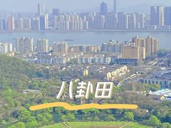 -八卦田遗址公园