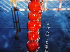 -什刹海