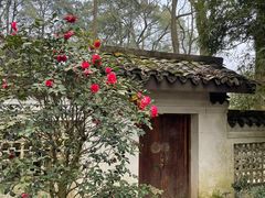 -南山植物园