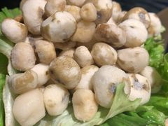 -凤园椰珍·臻品椰子鸡(保利时光里店)