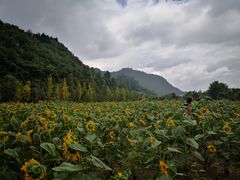 -贵阳市花溪国家城市湿地公园