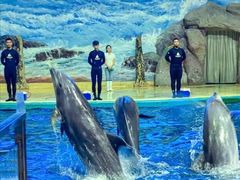-福州罗源湾海洋世界旅游区