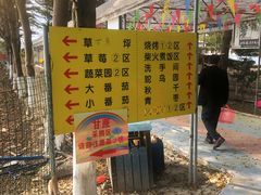 -新塘水果乐园(东洲大道店)