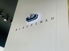 -BLACKSWAN黑天鹅(环球店)