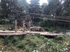 -贵州森林野生动物园