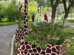 -莲花池公园