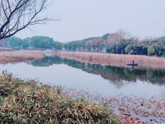 -金银湖国家城市湿地公园