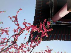 -碑林公园