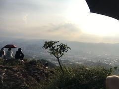 -长虫山生态公园风景林