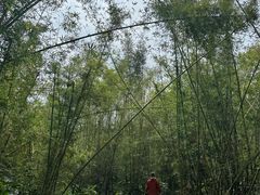 -开平碉楼文化旅游区马降龙景区