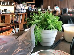 -捞王锅物料理(上海世茂广场店)