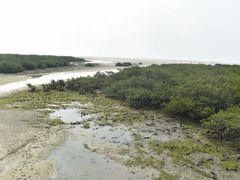 -北海金海湾红树林生态旅游区