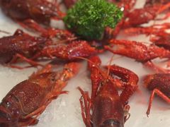 -红盔甲·小龙虾(天钥桥店)