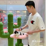 撸猫胜地🌵利路修同款未卡猫空间
