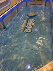 -沫奇婴幼儿水育馆(青山湖万达店)