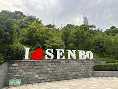 -杭州开元森泊度假乐园