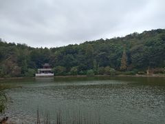 -岳麓山风景名胜区