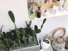 -拾壹cafe·工作室