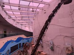 -陕西自然博物馆