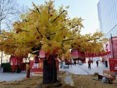 -Apple零售店(玄武湖店)