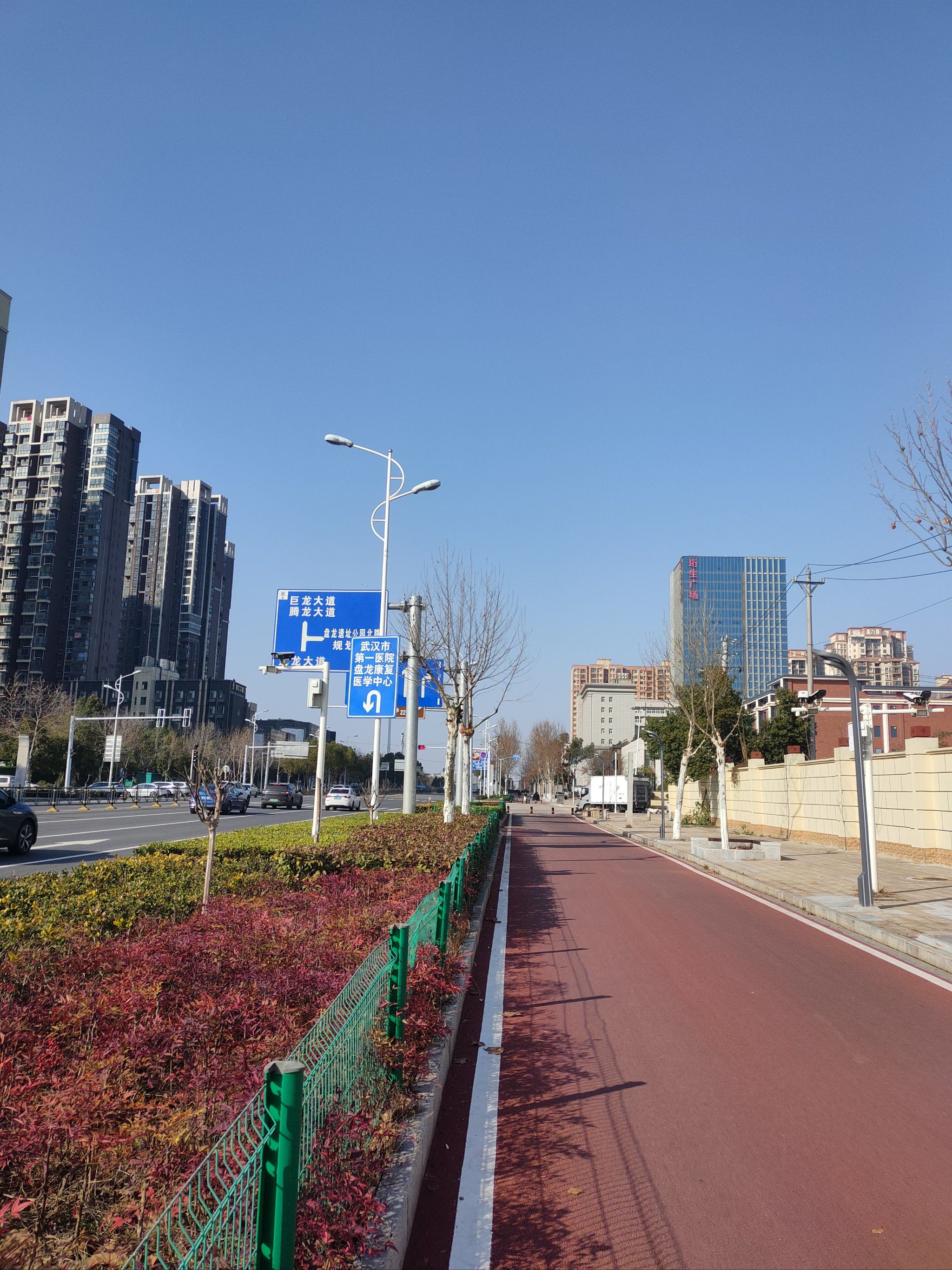 龙年吉祥万事顺,盘龙卧虎发发发