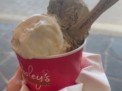 -Dooley's Premium Ice Cream