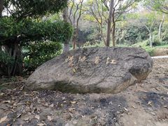 -八仙山公园