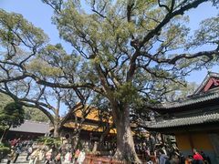 -乌镇东栅景区-应家桥皮影戏馆