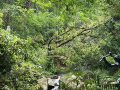 -莫干山风景区