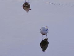 -星海广场