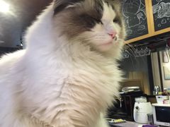 -咖法森林·咖啡  酒吧(天河店)