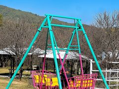 -名花谷生态庄园