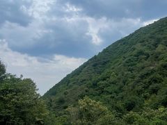 -都江堰石锅鱼