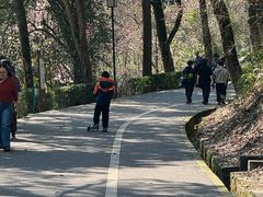 -石峰公园