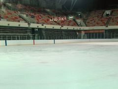 -松江大学城体育馆滑冰馆