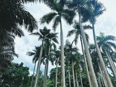 -中国科学院西双版纳热带植物园