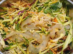 -林口邵胖子大鹅(新安街东五店)