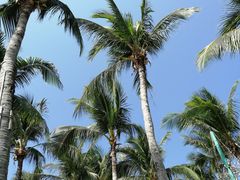 -三亚亚龙湾天域度假酒店