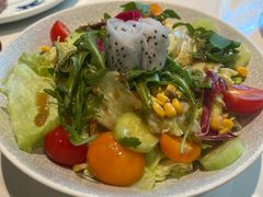火龙果蔬菜沙拉-申粤轩酒楼·三十年粤菜经典(丁香花园店)