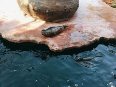-济南野生动物世界