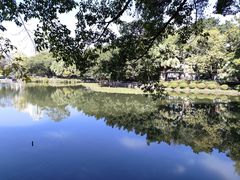 -荔湾湖公园