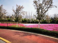 -云幽谷旅游区