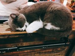 -MIKAKU(万达广场上海宝山店)