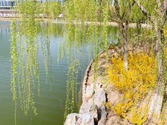 -大兴滨河森林公园