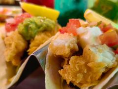-Famous肥猫墨西哥音乐餐吧(五棵松华熙LIVE店)
