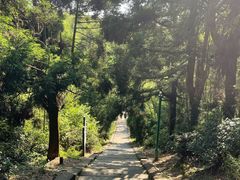 -长沙黑麋峰国家森林公园